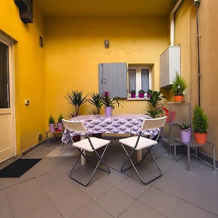 Daire Color House *